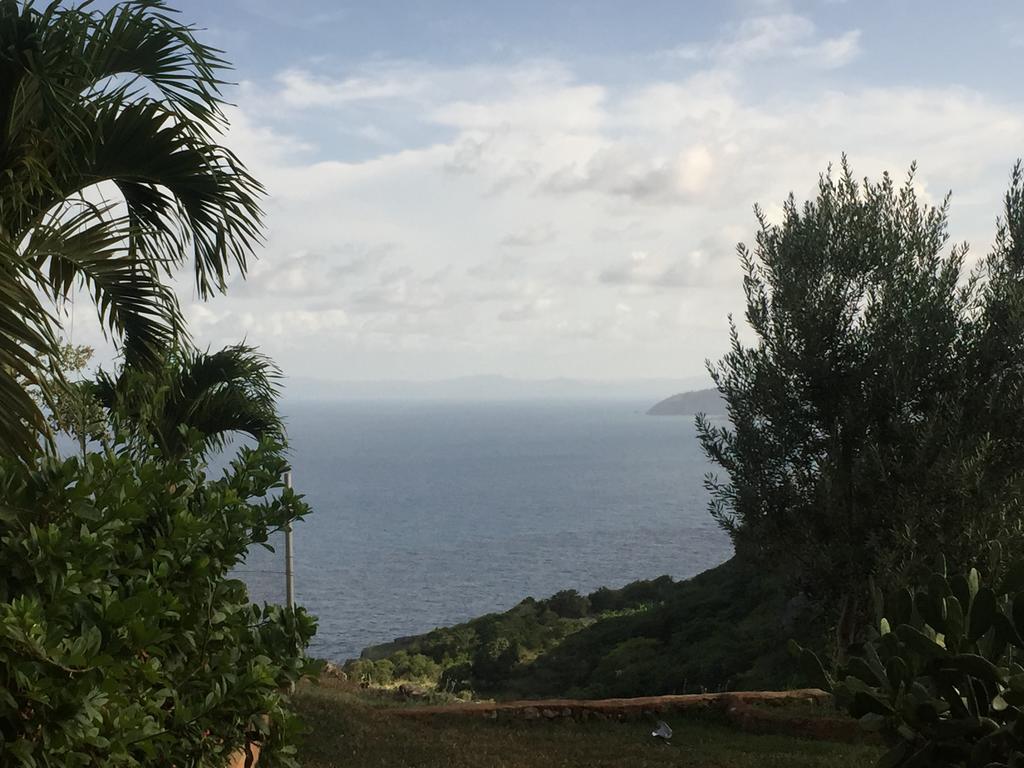 El Monte Azul Acomodação com café da manhã Las Galeras Exterior foto